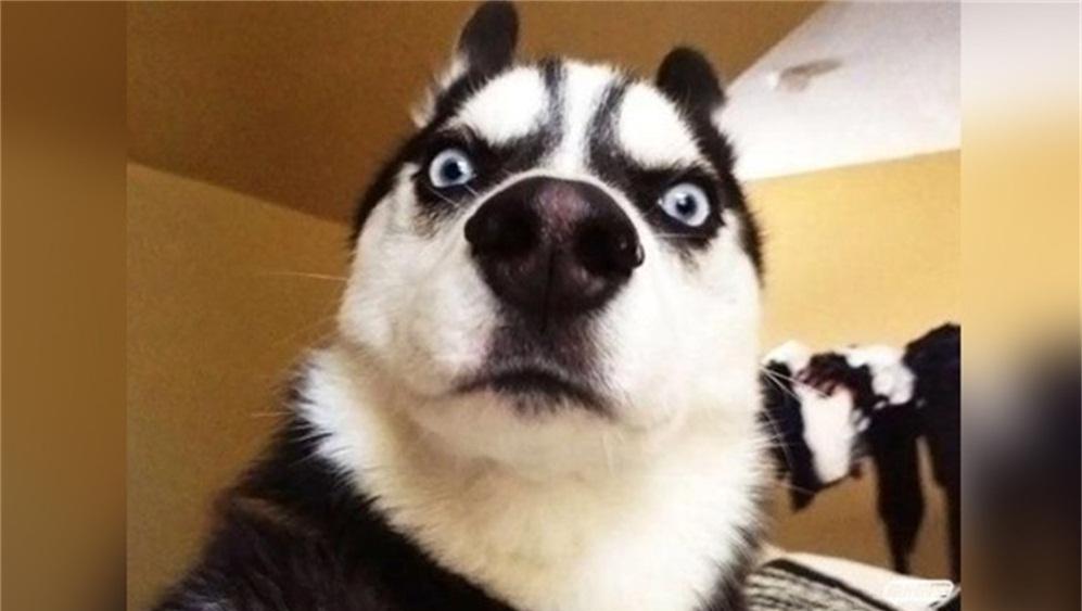 冒充斯文21,老奶奶吃稀饭,无耻(齿)下流20,五百钱分两下,二百五19