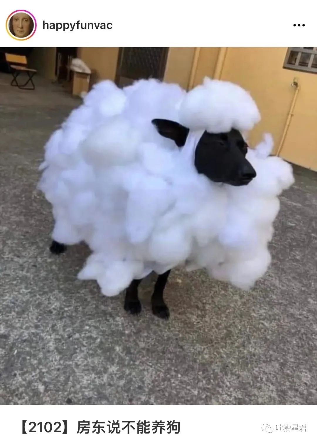 周杰伦新专辑为了显瘦有多心机？郎朗：我没惹你们任何人.