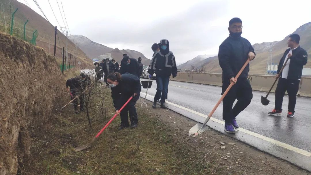 临潭县积极开展山水林田湖草沙系统治理和全县公路沿线集中整治活动