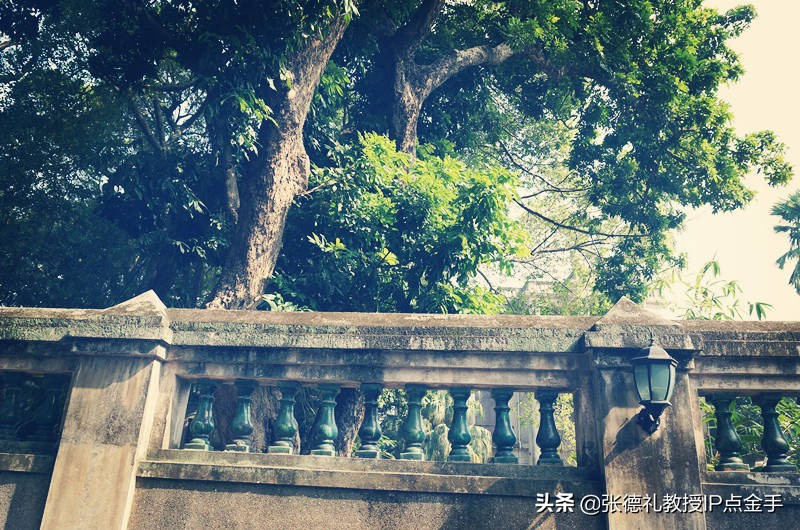 当大学老师好吗（大学里最吃香）