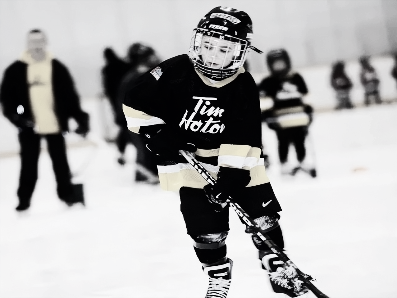 美国nba的球场有哪些（北美四大职业体育联盟·棒球）