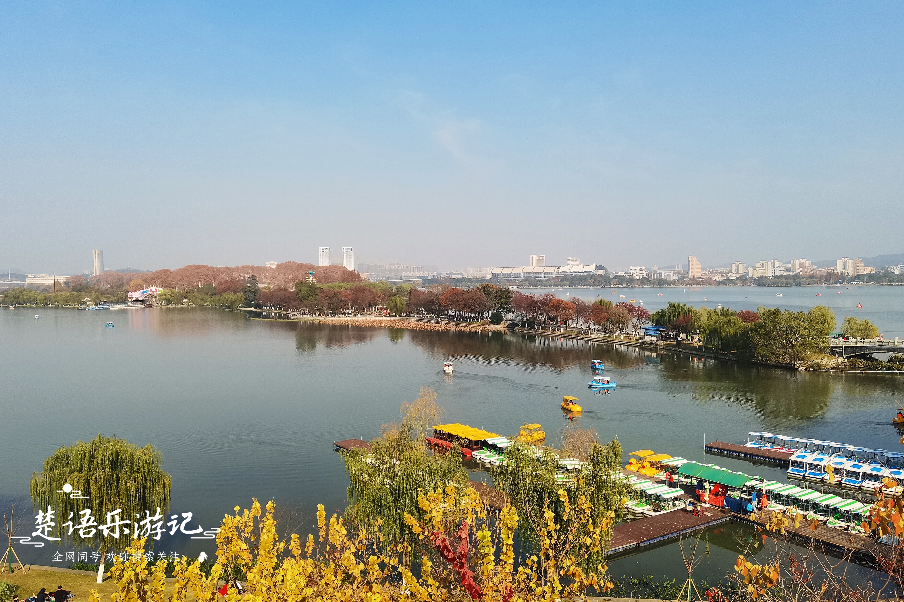 风景可比杭州西湖，一年四季花海不断，原来是南京的网红打卡胜地