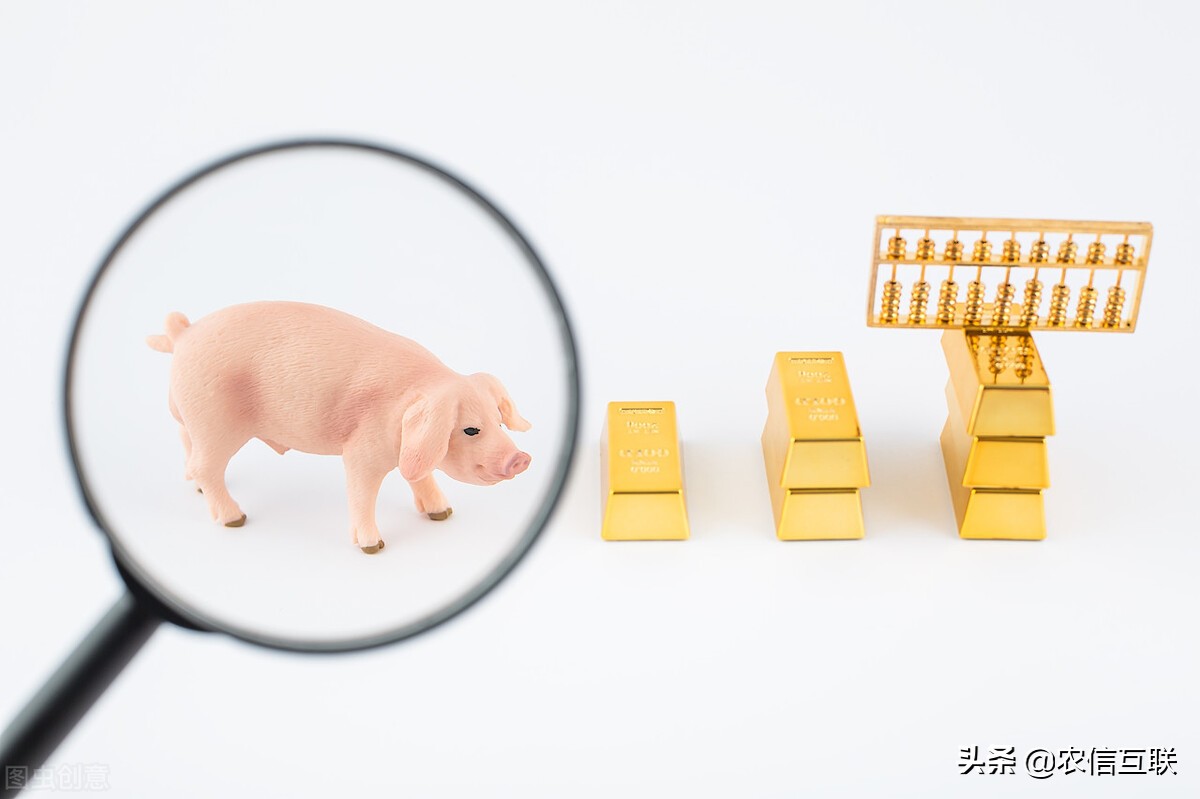 今日猪价行情｜市场突然缺猪了？猪价大涨1块，这波能涨多久？