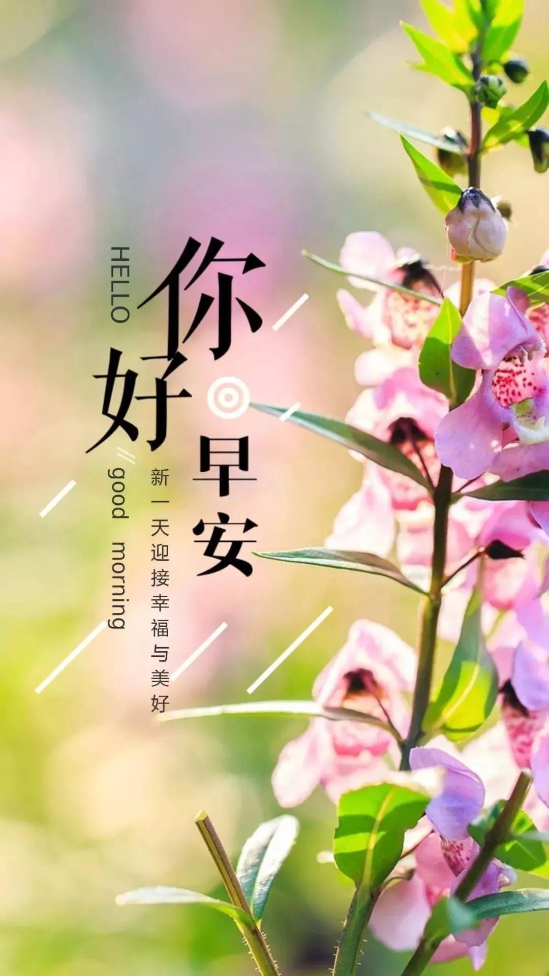 早安心语~阳光满面心情如花，笑在眉梢喜在心，怎么开心怎么生活