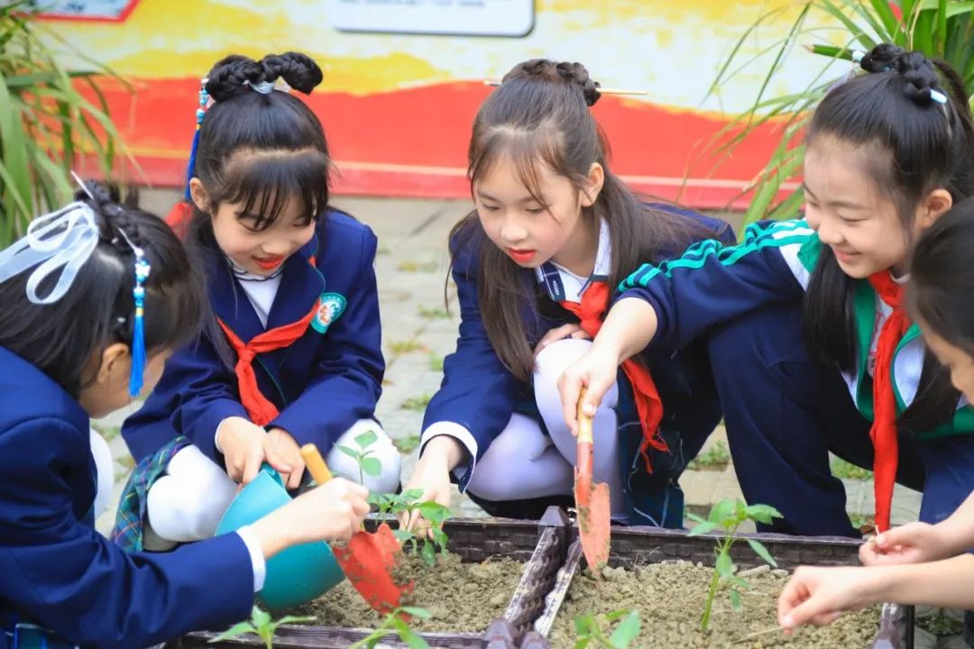 行雅中队，逐光而行｜记天府新区南湖小学南湖小学4.5班行雅中队