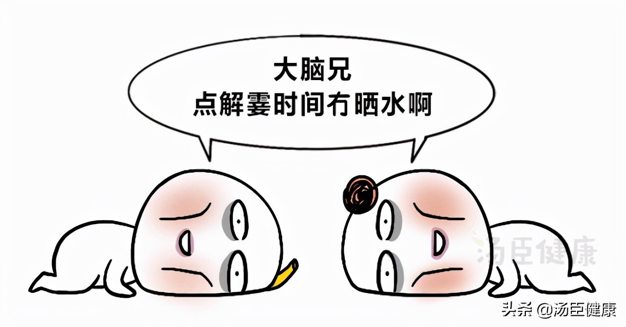 辟谣｜轻信这4个谣言，让多少人为「补肾」走了弯路