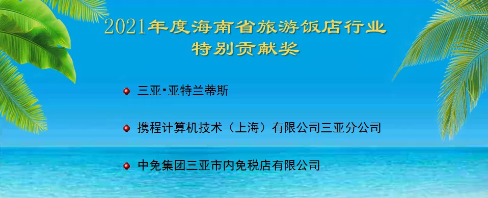 海南省旅游饭店业协会第二届消博会接待动员大会顺利召开