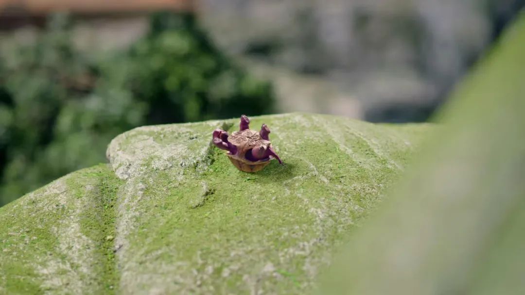 杨紫对不起，你不灵了