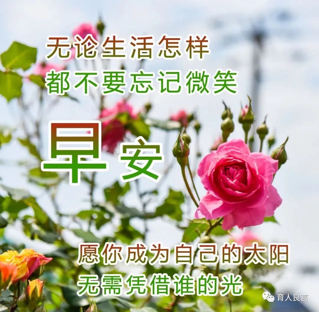 早上好祝福问候正能量语录，朋友圈早安祝福图片