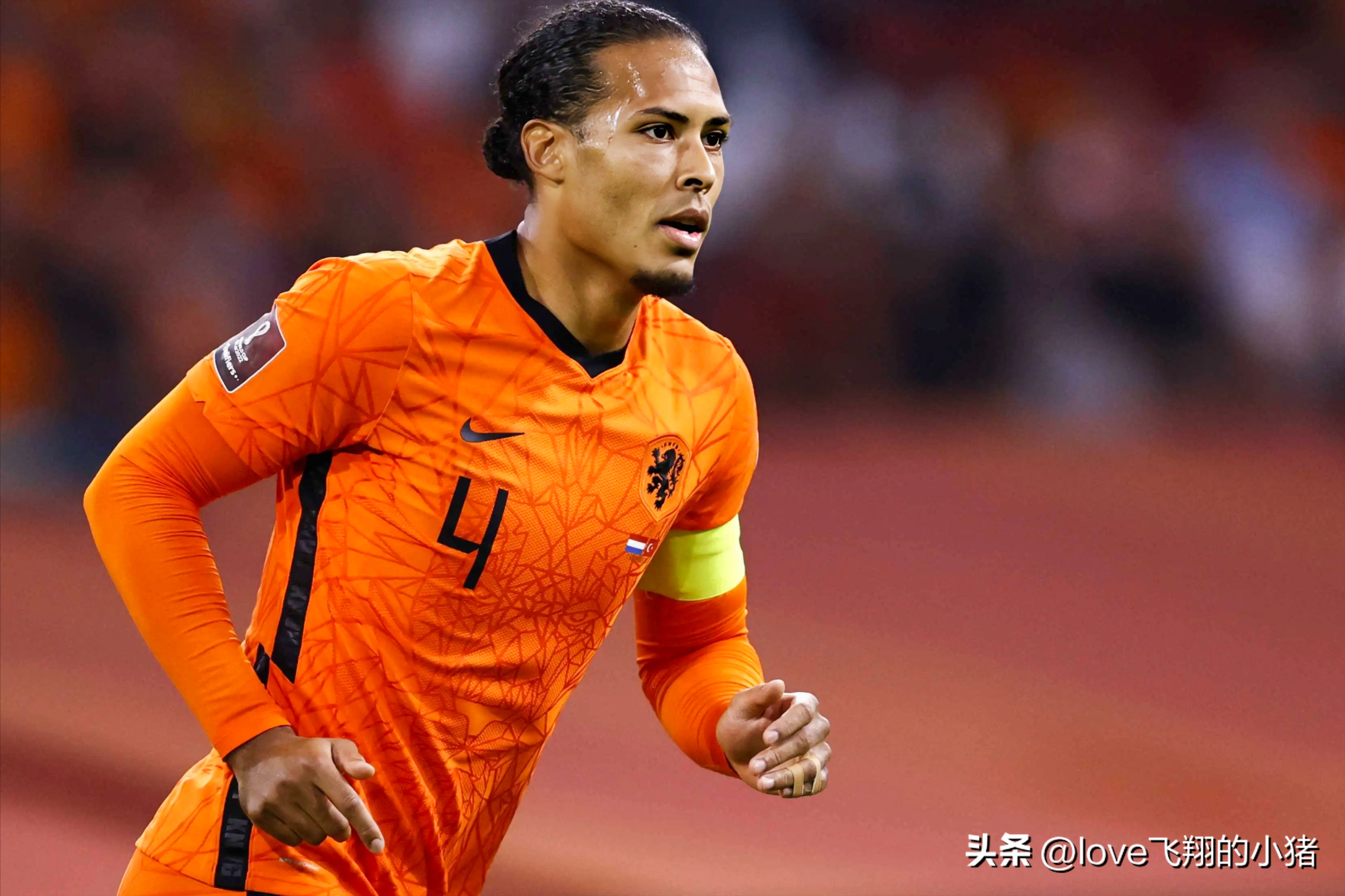 2022世界杯荷兰阵容（荷兰队2022世界杯阵容首发11人主力预测）