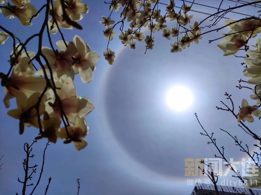 今天的朋友圈，有点儿“晕”