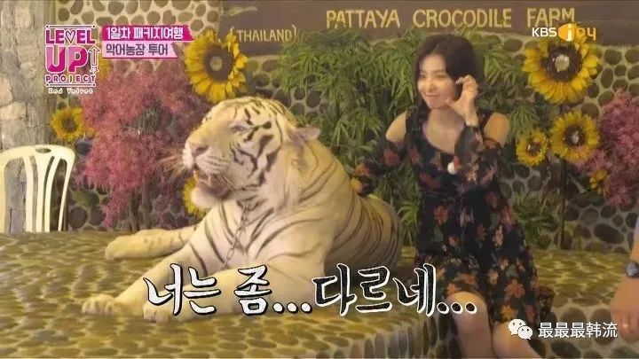 她没惹到任何人