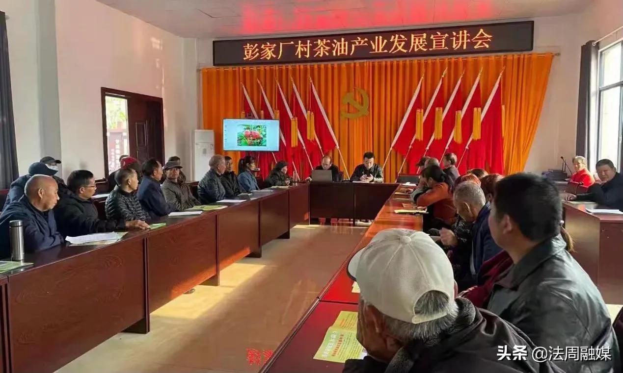 「我为群众办实事」澧县林业局开展油茶产业发展宣讲培训