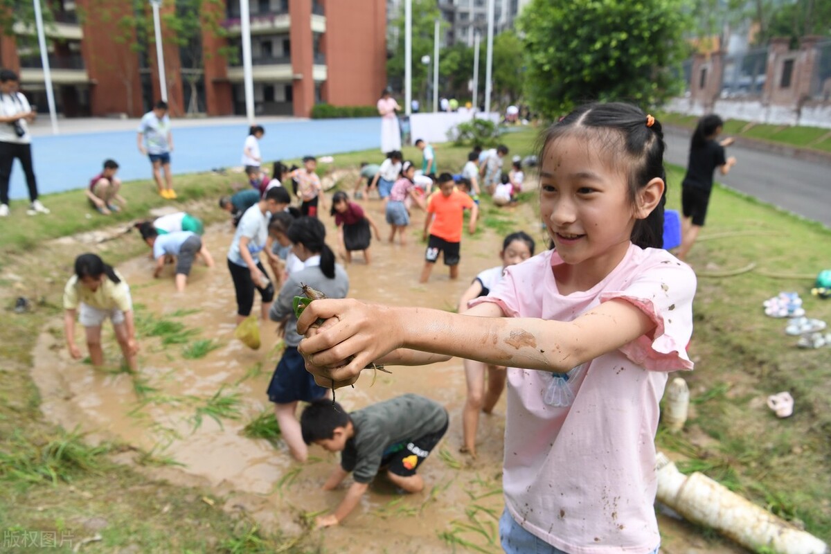 劳动课可以让学生做什么,家庭教育劳动教育学生篇(图1)