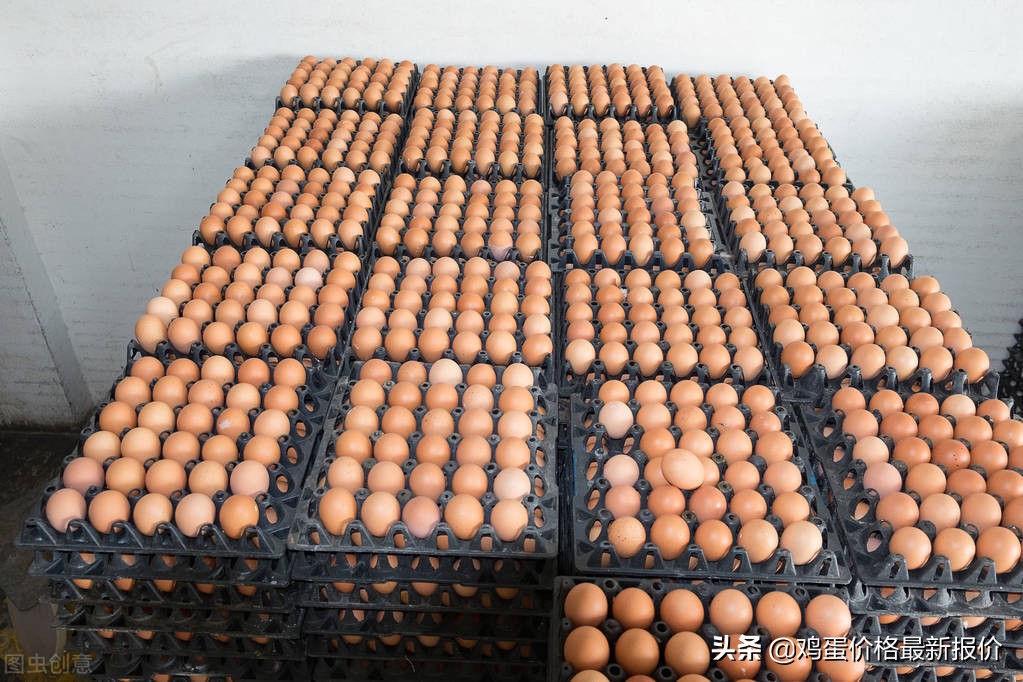 今日鸡蛋价格普遍下跌 短期蛋价还是高位平稳为主