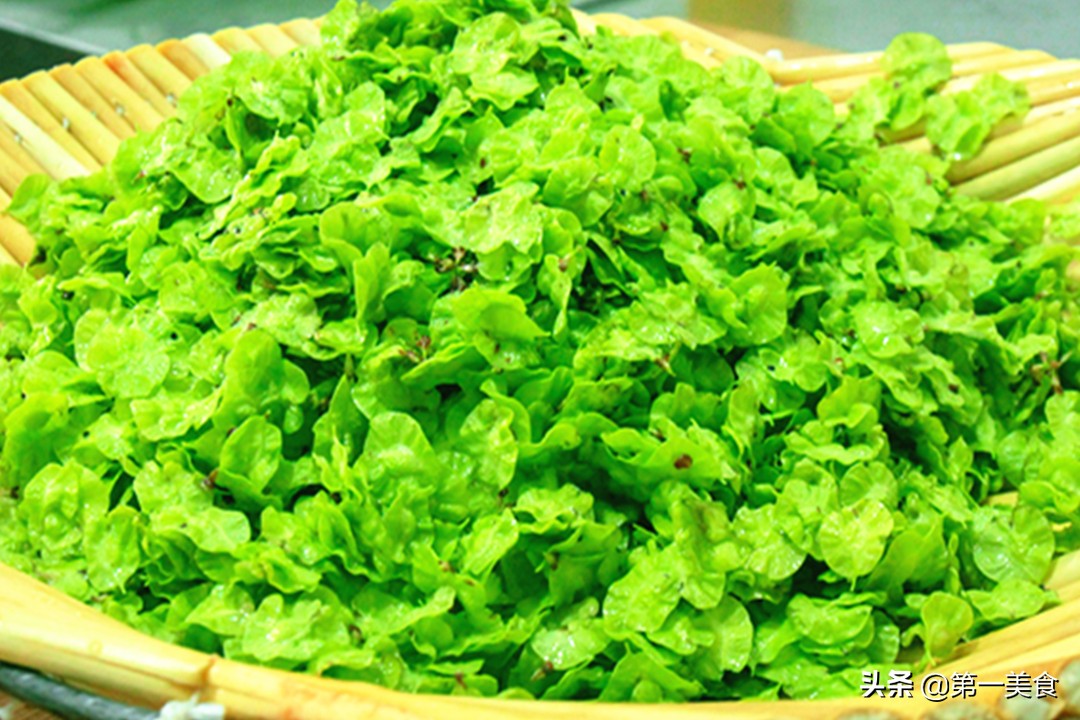 春天补钙必吃的菜！钙是菠菜的3倍、不含草酸，长个的孩子要多吃