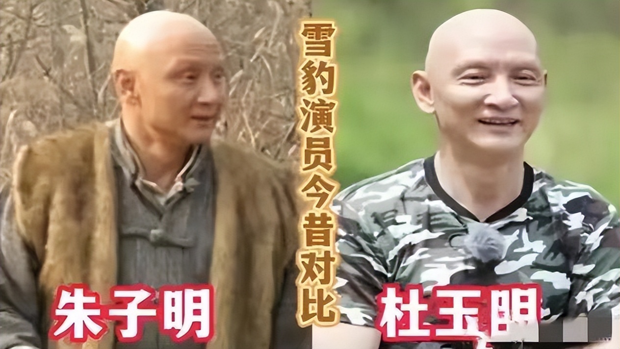 12年后再看《雪豹》，主演凉了，配角火了，如今差距一目了然