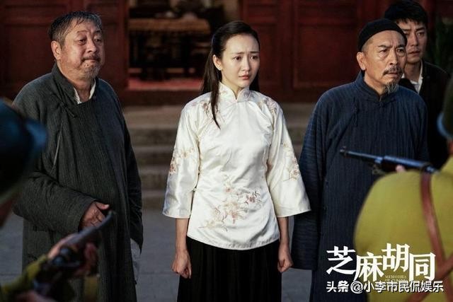 芝麻胡同剧情介绍（电视剧芝麻胡同的剧情简介）