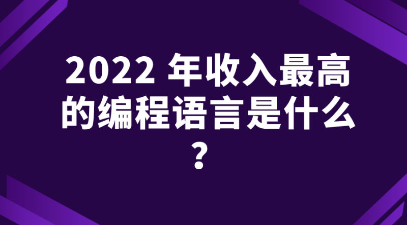 2022 年收入最高的编程语言是什么？