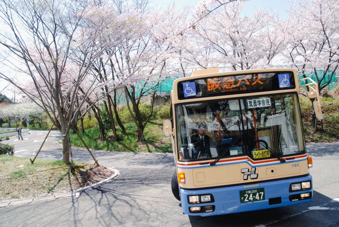 日本考研难不难？看了东大的录取率，突然觉得我又可以了