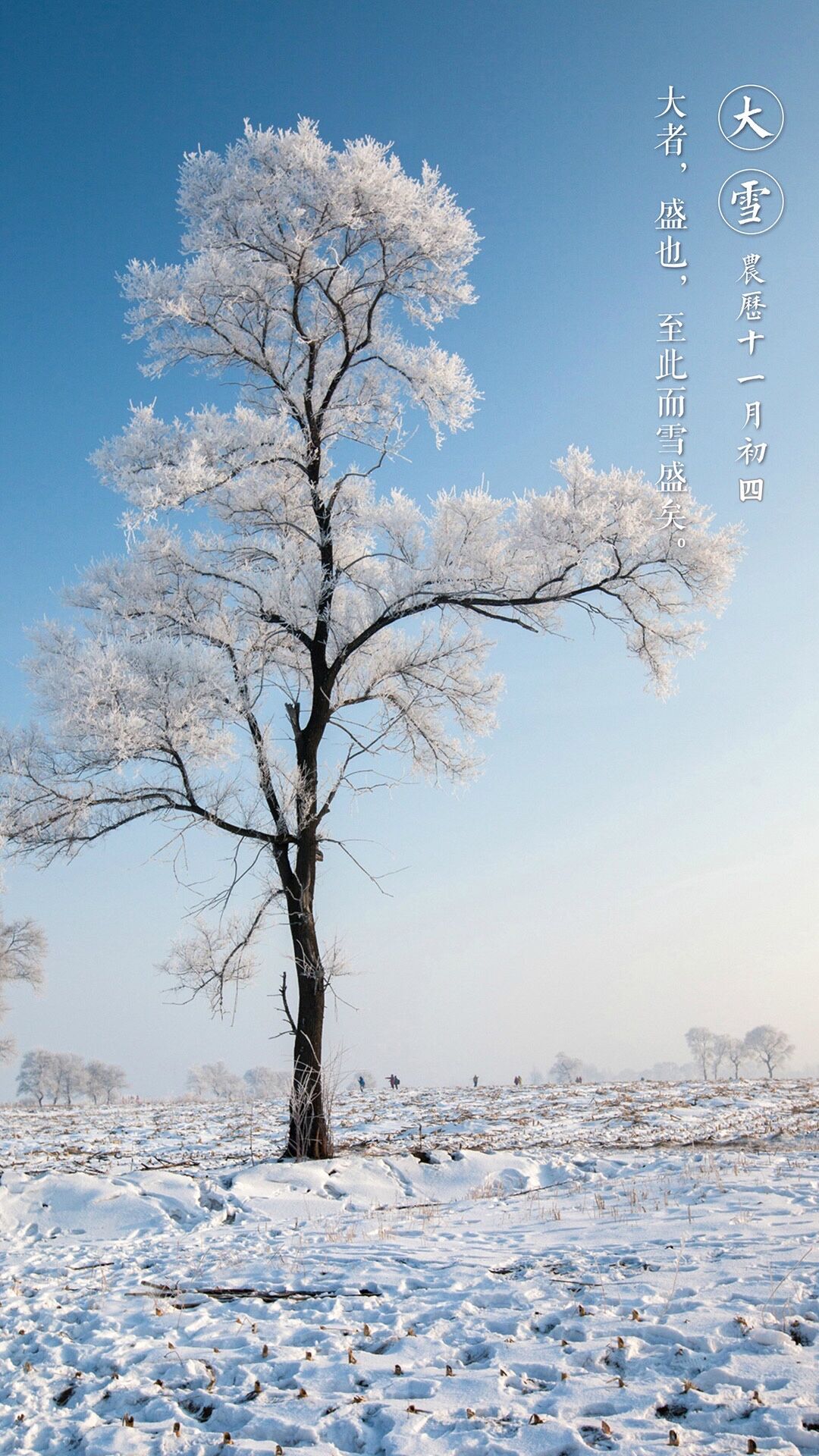 万象晓一色，皓然天地中——大雪，盛大之雪，皓然之心