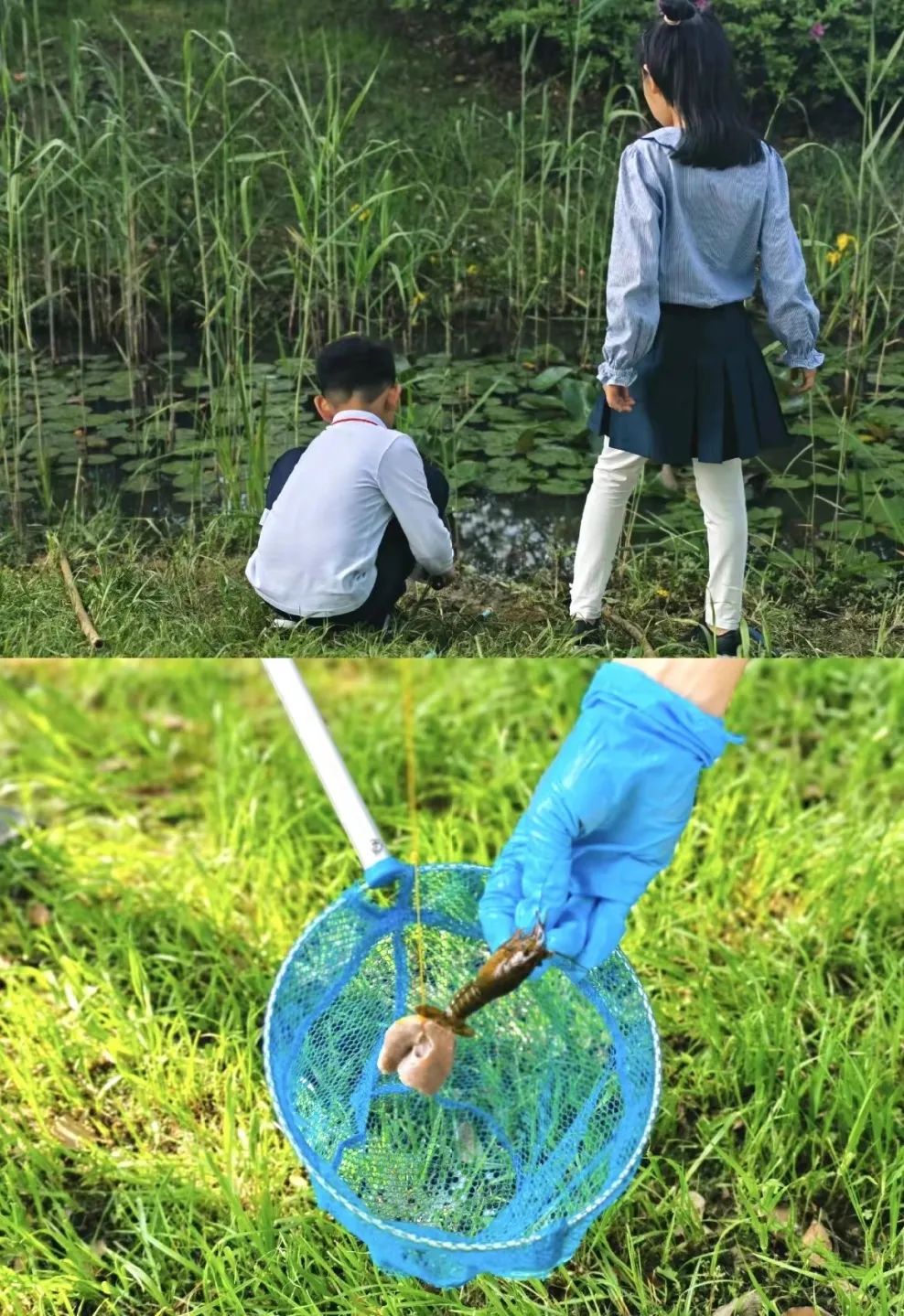 震惊？！淹城遗址小龙虾竟遭逮捕