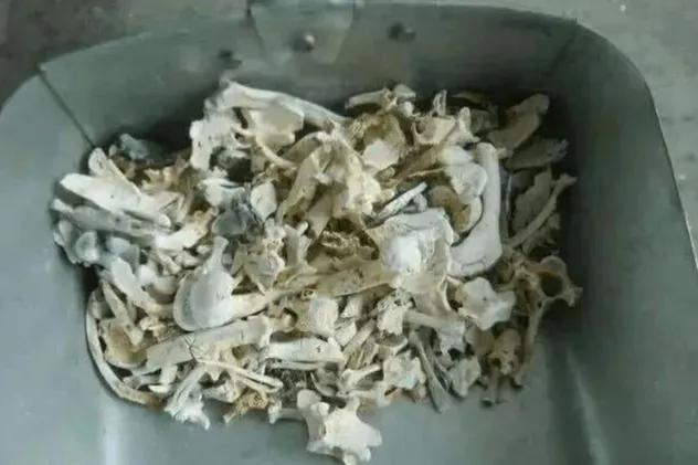 人死后是如何火化的?为什么骨灰中有骨头而没有牙齿?看完涨知识