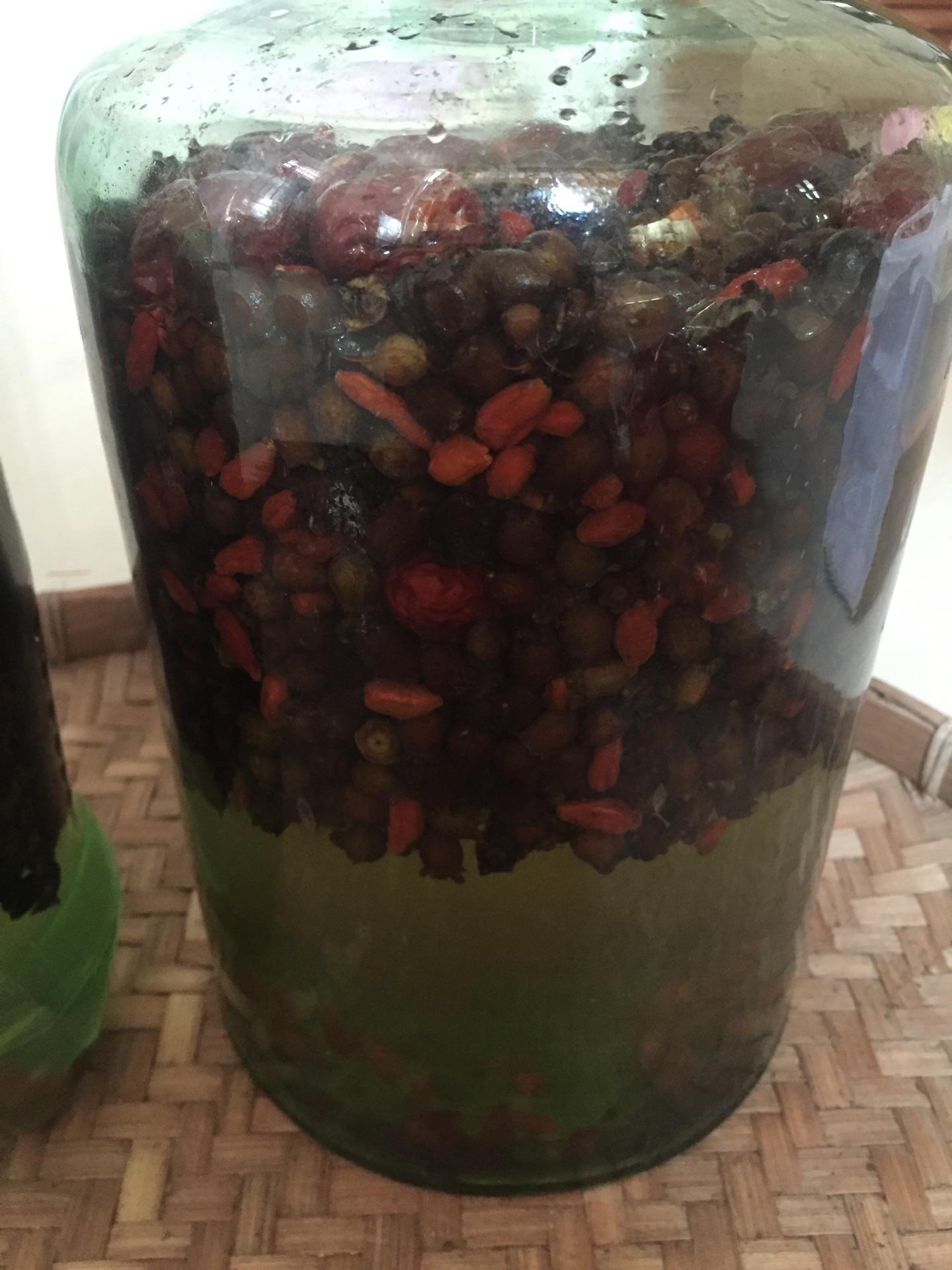 农村12种常见的野果可以泡酒,如果你家乡有,记得去采摘别错过