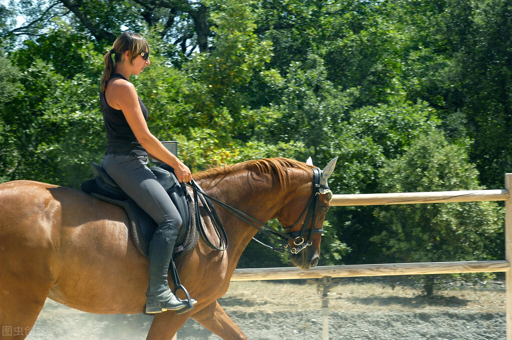 纵死犹闻侠骨香：王维七绝《少年行四首》
