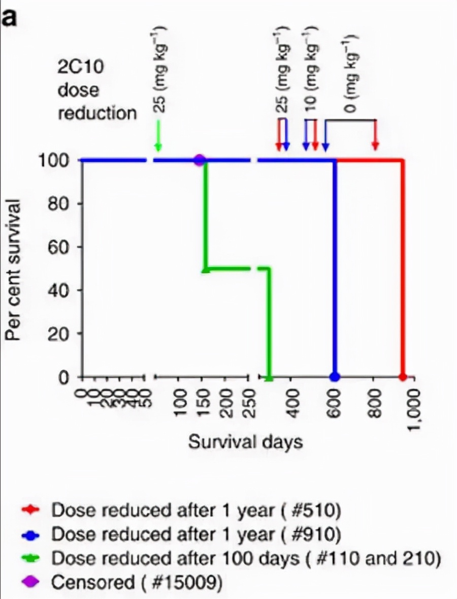 “虾仁猪心”——给人换一个猪心怎么样？