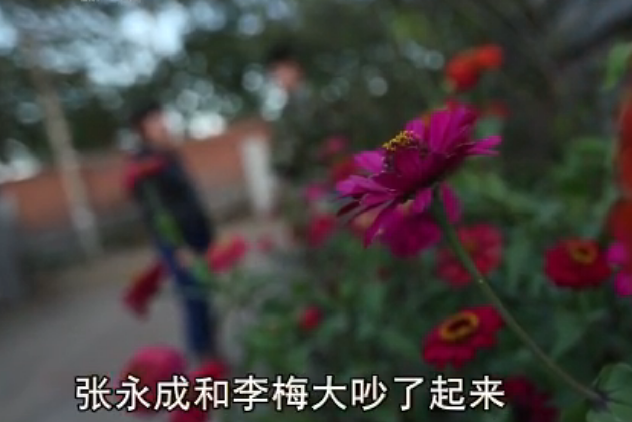 2008年，辽宁女子“梦到”遇害弟弟埋尸地点，警方前往，挖出尸体