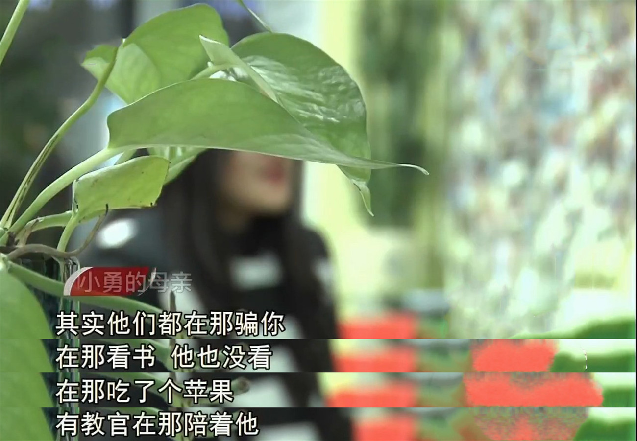 2016年16岁少年校内被逼自杀，真相揭露，阳光学校里为何阴云密布