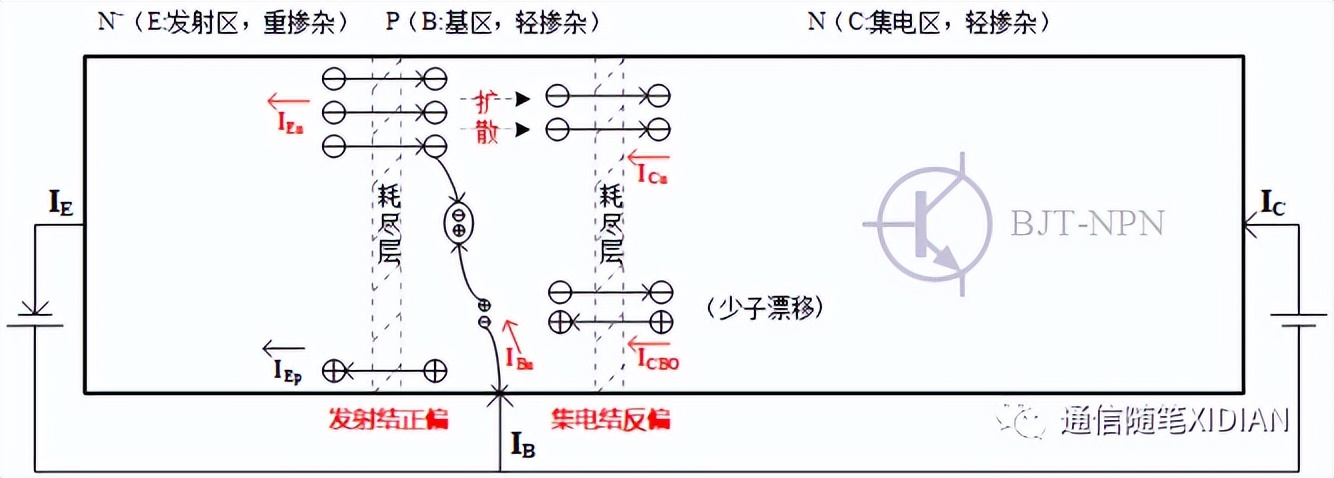 二极管/三极管基本原理
