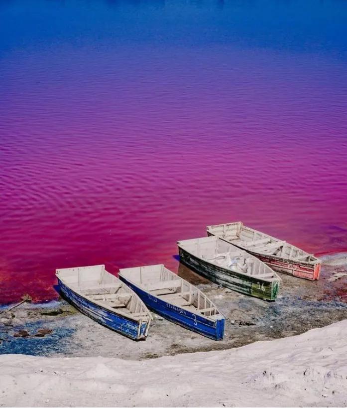 塞内加尔玫瑰湖图片(天生我材必有用,特兰加雄狮的苏醒——塞内加尔