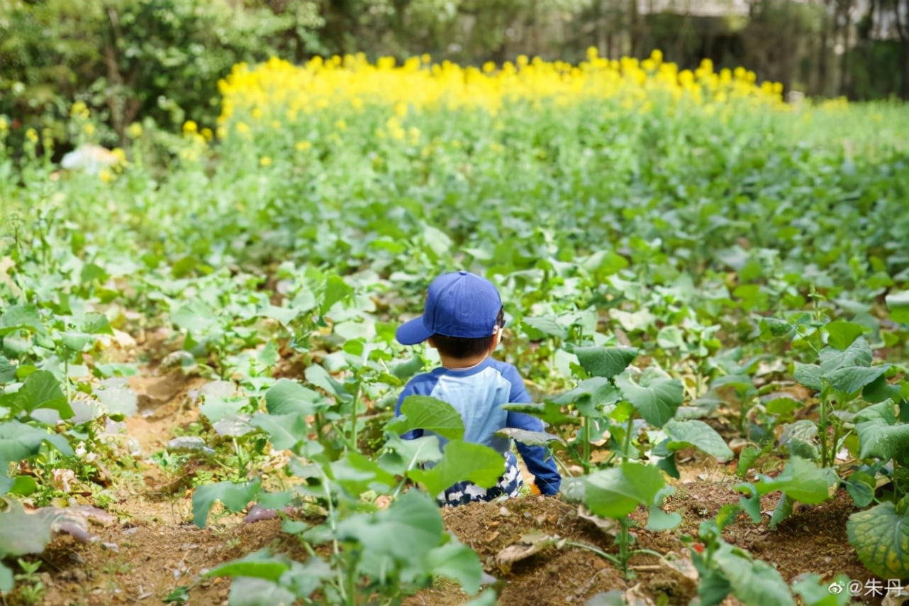 �쵤����Ů���ժҰ�ˣ�������ص͵�����ǣ1�����С�ֳ��а�