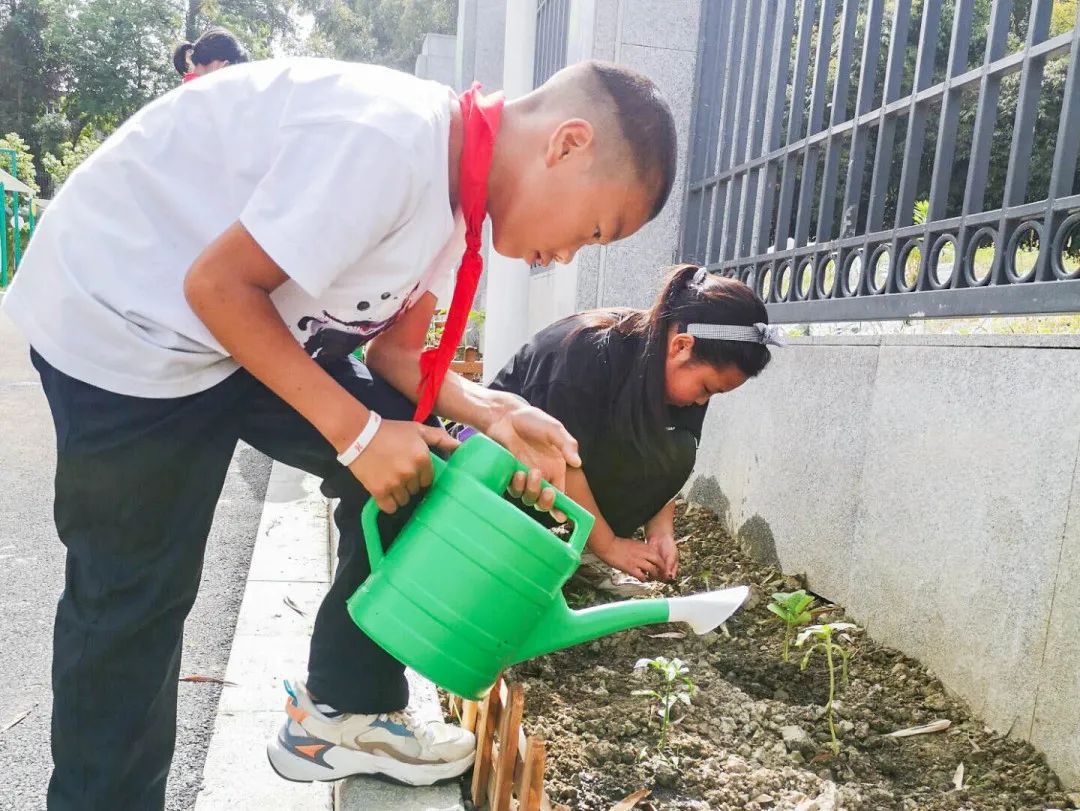 「责任教育 劳动课程」成都市双流区黄甲小学开发特色劳动种植课程