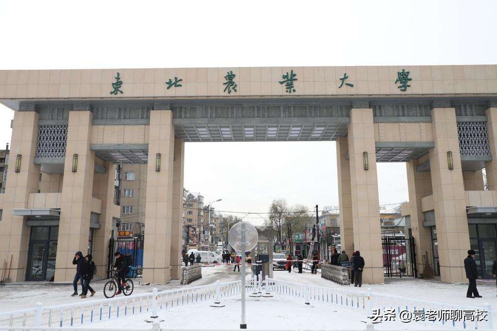 东北农业大学贴吧（东北林业大学与东北农业大学）