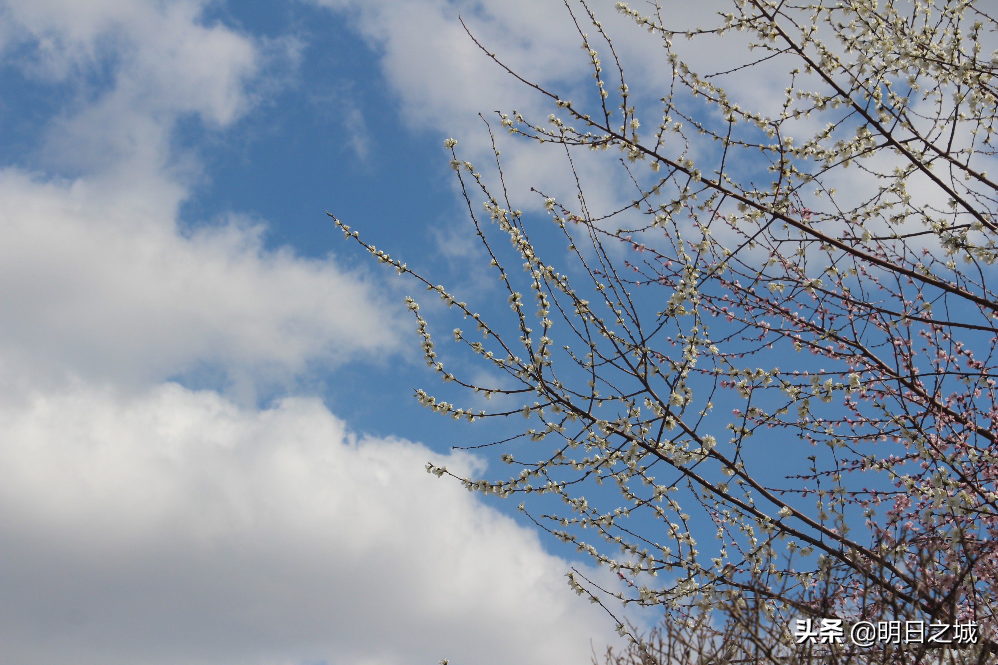 倒计时49天！高考能延迟吗？长春疫情下的高三生家长更懵圈焦虑