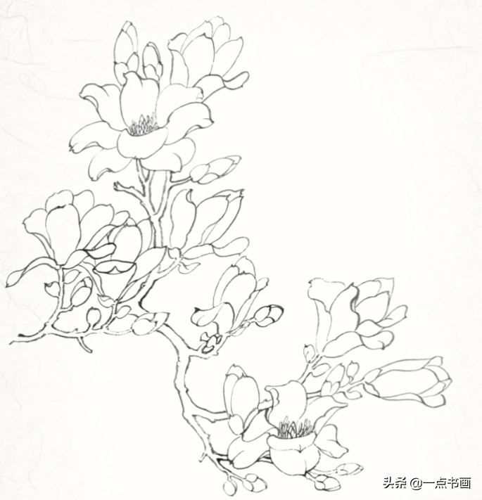 素描桃花树怎么画图片