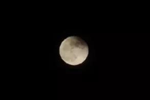 一曲《春江花月夜》——孤篇冠全唐