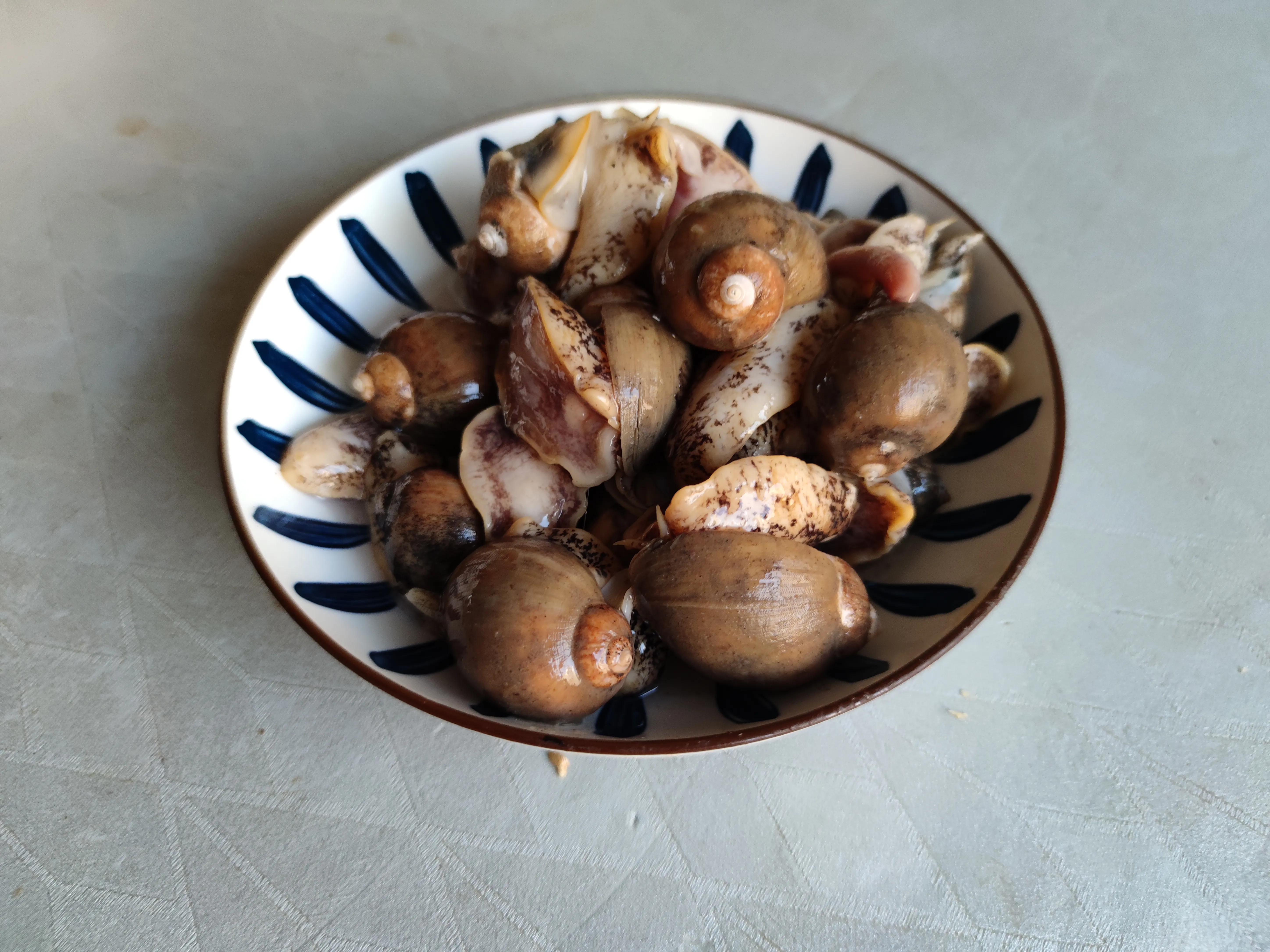 假鲍鱼的学名叫"水泡蛾螺",它是生长在水深50米以下的纯野生海鲜,从这