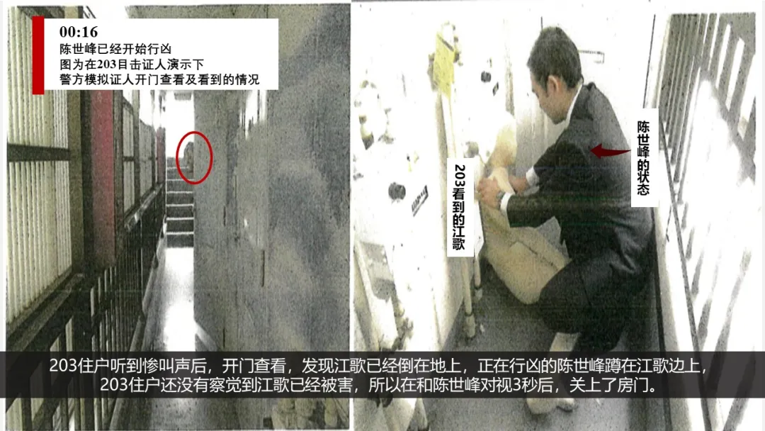 江歌妈妈诉刘鑫案律师代理词