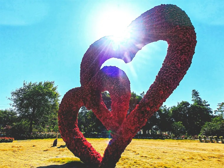 21个技巧，再助你手机拍大片！（影展点评第545期）