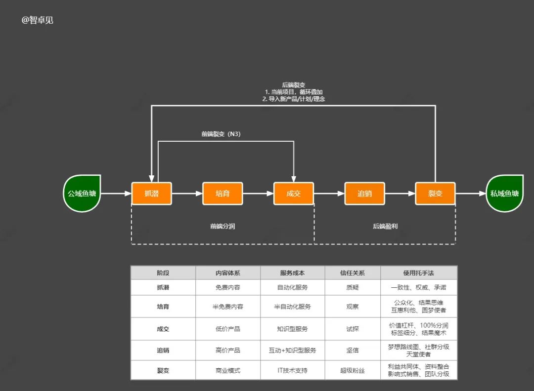 世界杯领券省钱(7000字干货，一文讲透花西子爆发背后的底层逻辑，杠杆运营方法论)