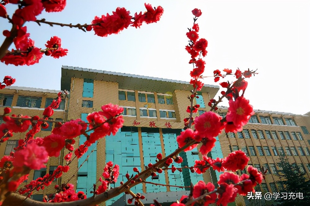 山东现代学院，是一座怎样的学校？