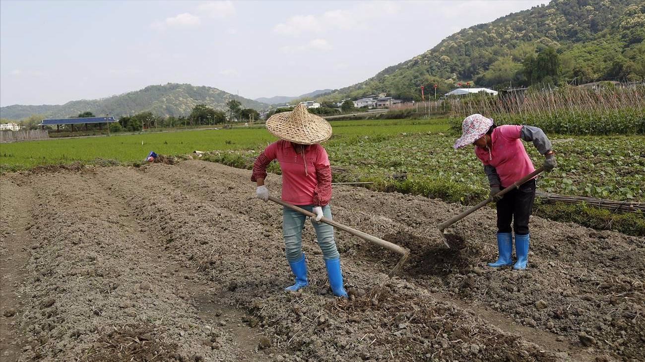 轰动一时的中国首例5胞胎：父亲因劳累过世，孩子们已考上大学