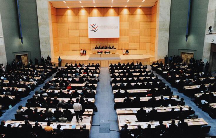 ʱ࣬WTOͨҪʶʢٱòԶ