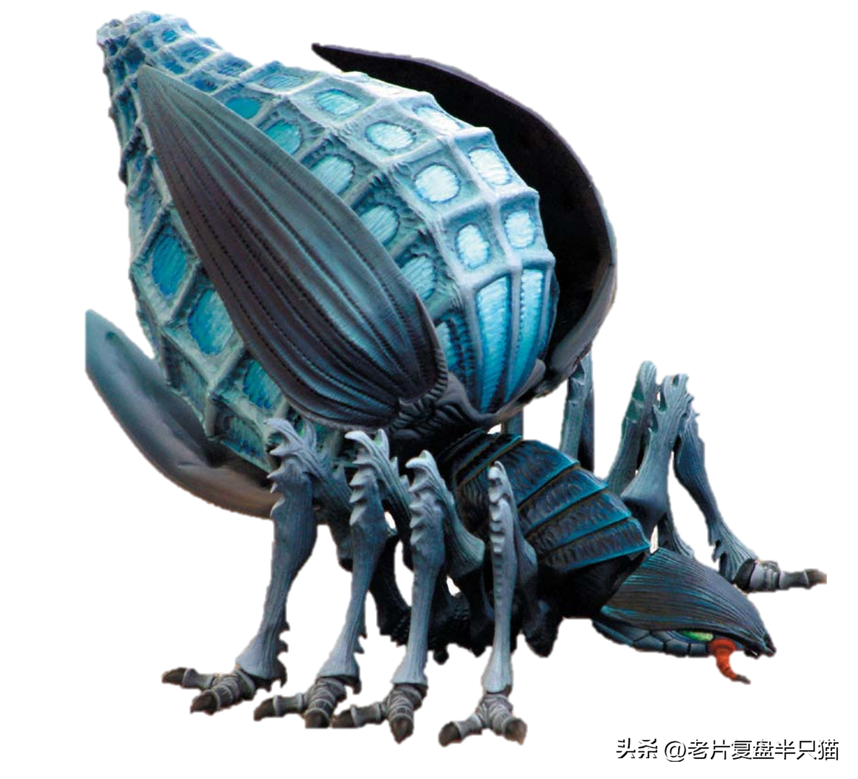 星际争霸虫族兵种图鉴(星际争霸虫族兵种图鉴小狗)