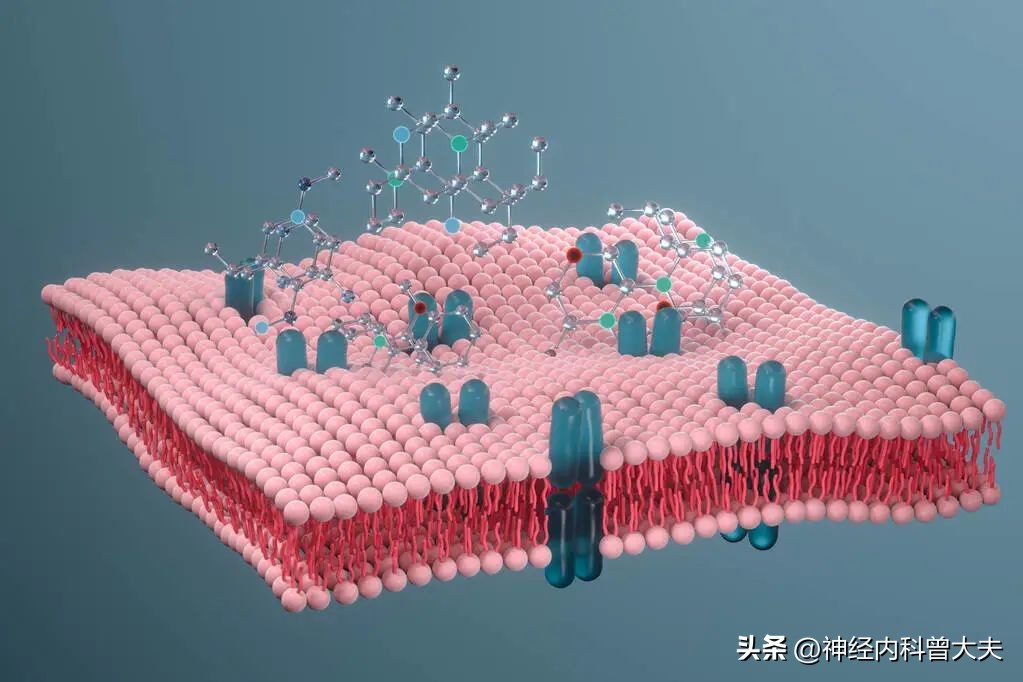 什么是高血脂（什么是高脂血癥？高脂血癥的主要危害有哪些？）