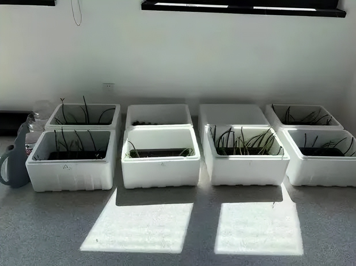 院士坐镇！成果创“世界首次”！揭秘中山大学这一“硬核”学院